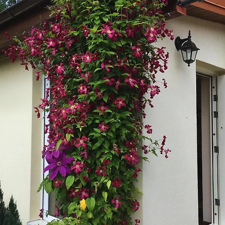 Dom Letni Sloneczny Taras Holiday home