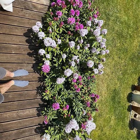 Dom Letni Sloneczny Taras Holiday home *