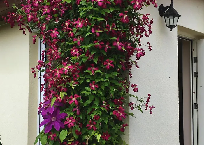 Dom Letni Sloneczny Taras Дом отдыха