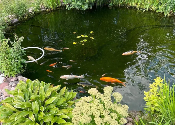 Dom Letni Sloneczny Taras Semesterbostad