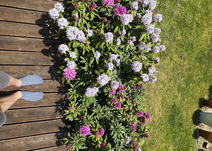 Dom Letni Sloneczny Taras Дом отдыха *