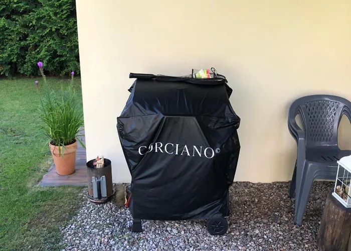 Dom Letni Sloneczny Taras * Borek (Kartuzy)